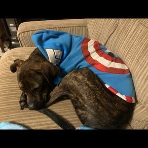 Meet your Posher, Traci